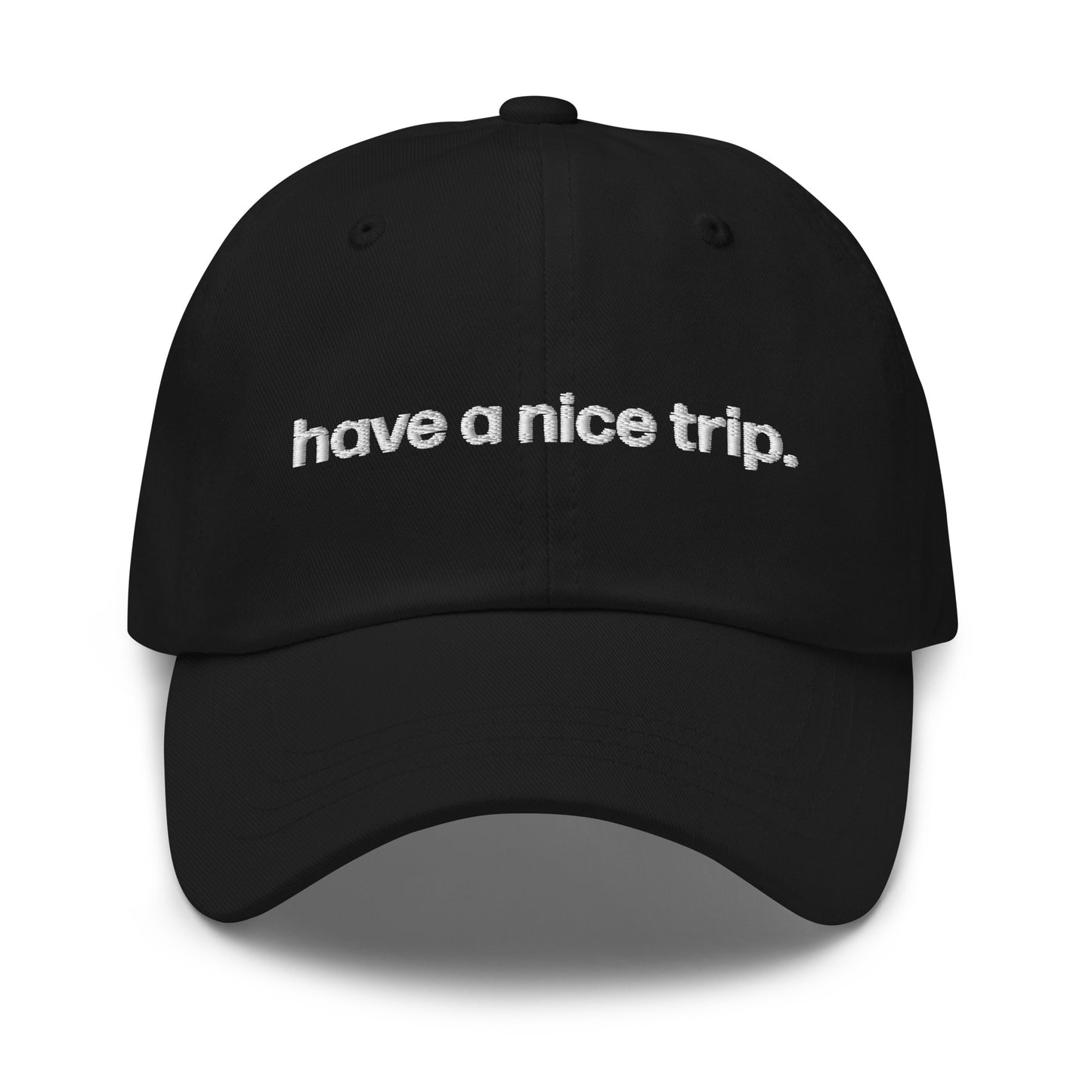 have a nice trip | dad cap