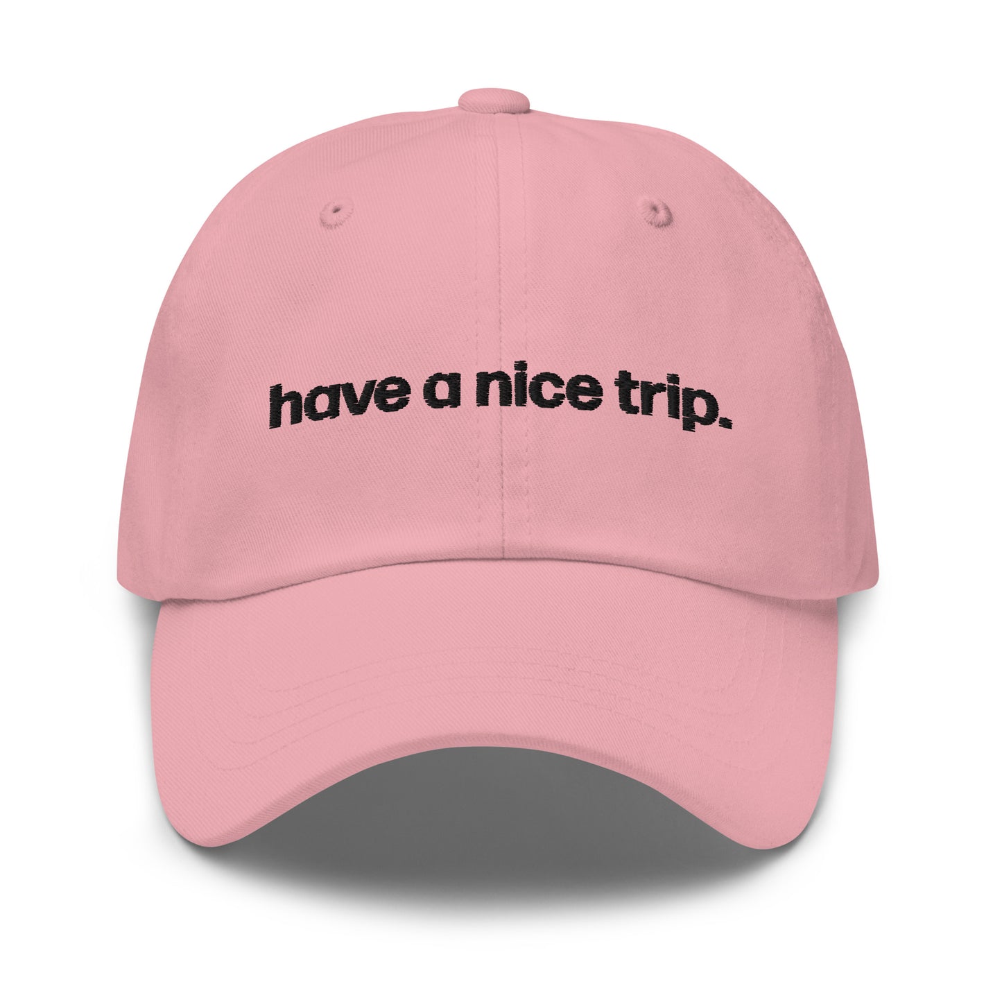 have a nice trip | dad cap